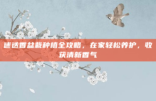 迷迭香盆栽种植全攻略，在家轻松养护，收获清新香气