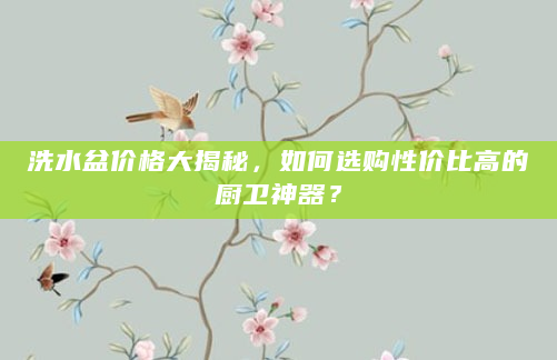 洗水盆价格大揭秘，如何选购性价比高的厨卫神器？