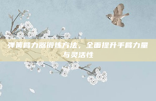 弹簧臂力器锻炼方法，全面提升手臂力量与灵活性