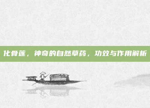 化骨莲，神奇的自然草药，功效与作用解析