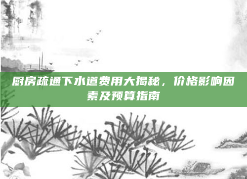 厨房疏通下水道费用大揭秘，价格影响因素及预算指南