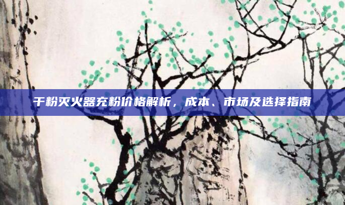 干粉灭火器充粉价格解析，成本、市场及选择指南