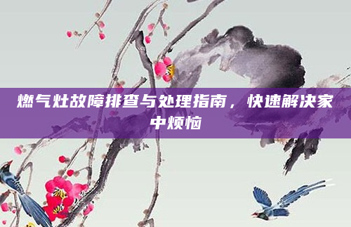 燃气灶故障排查与处理指南，快速解决家中烦恼