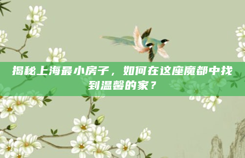 揭秘上海最小房子，如何在这座魔都中找到温馨的家？