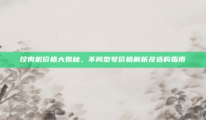 绞肉机价格大揭秘，不同型号价格解析及选购指南