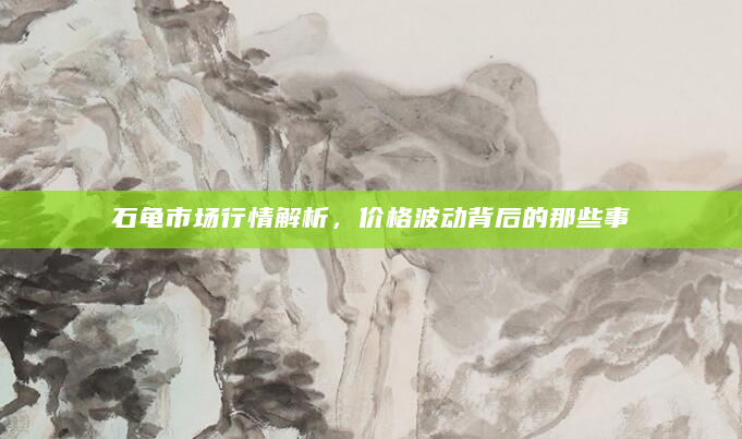 石龟市场行情解析，价格波动背后的那些事