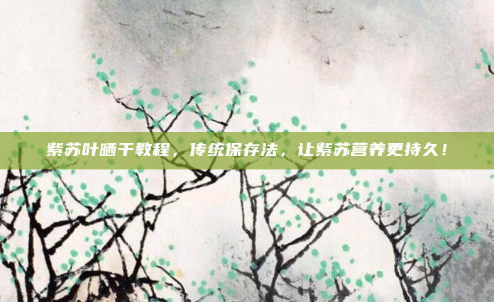 紫苏叶晒干教程，传统保存法，让紫苏营养更持久！