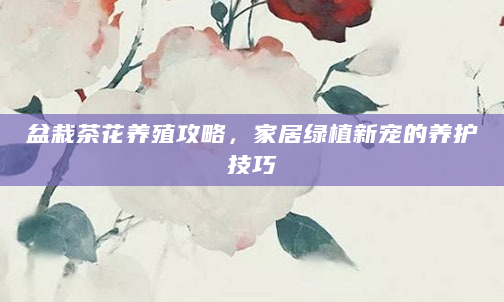 盆栽茶花养殖攻略，家居绿植新宠的养护技巧