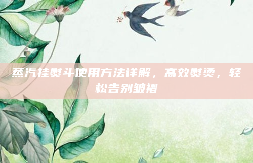 蒸汽挂熨斗使用方法详解，高效熨烫，轻松告别皱褶