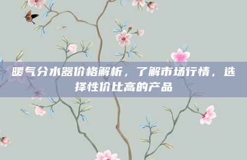 暖气分水器价格解析，了解市场行情，选择性价比高的产品