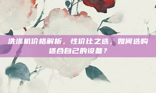 洗涤机价格解析，性价比之选，如何选购适合自己的设备？