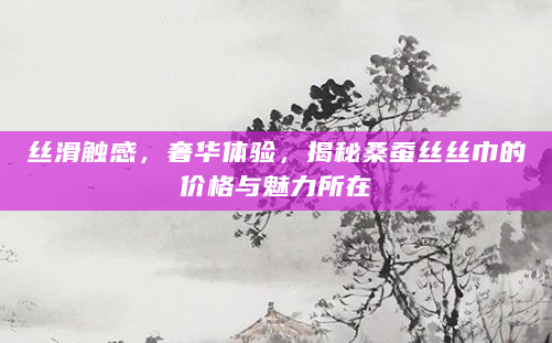 丝滑触感，奢华体验，揭秘桑蚕丝丝巾的价格与魅力所在