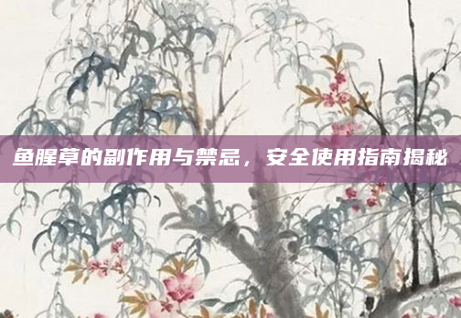 鱼腥草的副作用与禁忌，安全使用指南揭秘
