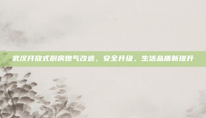 武汉开放式厨房燃气改造，安全升级，生活品质新提升