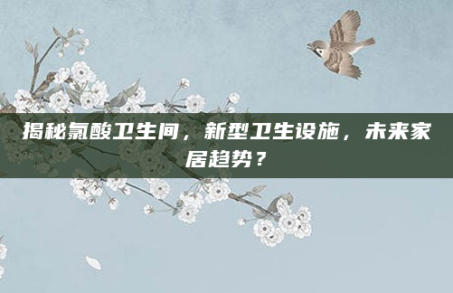 揭秘氯酸卫生间，新型卫生设施，未来家居趋势？