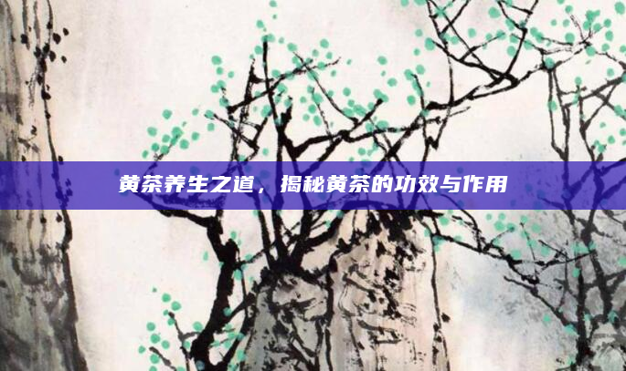 黄茶养生之道，揭秘黄茶的功效与作用