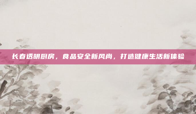 长春透明厨房，食品安全新风尚，打造健康生活新体验