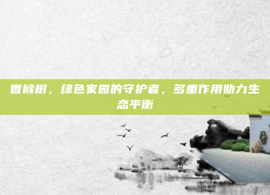 香橼树，绿色家园的守护者，多重作用助力生态平衡
