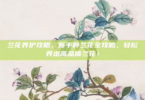 兰花养护攻略，新手种兰花全攻略，轻松养出高品质兰花！