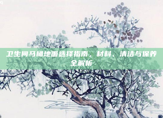 卫生间马桶地面选择指南，材料、清洁与保养全解析