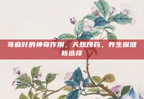 荨麻叶的神奇作用，天然良药，养生保健新选择