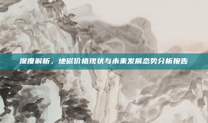 深度解析，地磁价格现状与未来发展态势分析报告