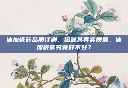 迪加瓷砖品质评测，揭秘其真实质量，迪加瓷砖究竟好不好？