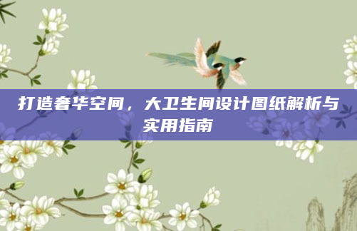打造奢华空间，大卫生间设计图纸解析与实用指南