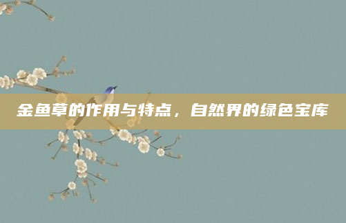 金鱼草的作用与特点，自然界的绿色宝库