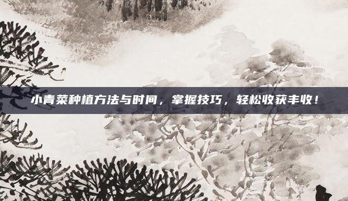 小青菜种植方法与时间，掌握技巧，轻松收获丰收！