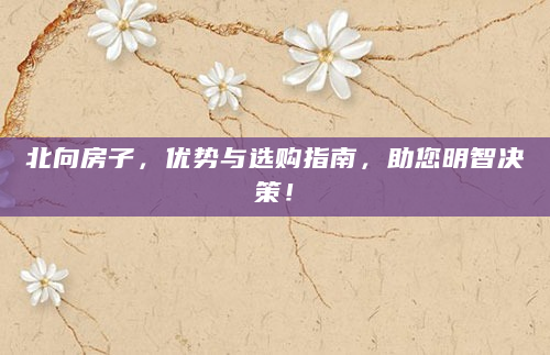 北向房子，优势与选购指南，助您明智决策！