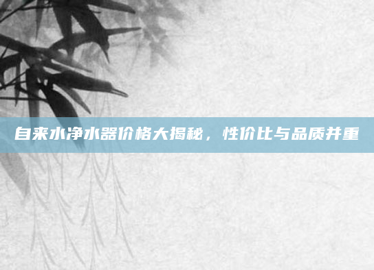 自来水净水器价格大揭秘，性价比与品质并重