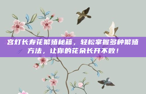 宫灯长寿花繁殖秘籍，轻松掌握多种繁殖方法，让你的花朵长开不败！