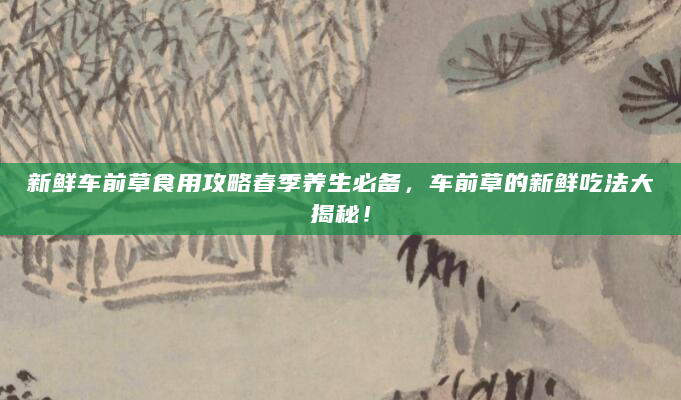 新鲜车前草食用攻略春季养生必备，车前草的新鲜吃法大揭秘！