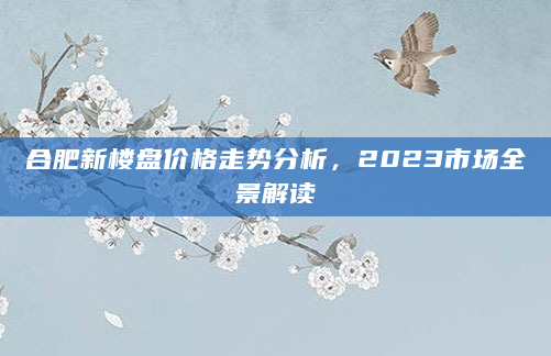 合肥新楼盘价格走势分析，2023市场全景解读