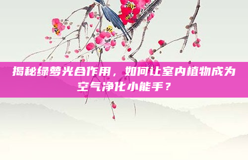 揭秘绿萝光合作用，如何让室内植物成为空气净化小能手？