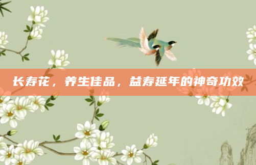 长寿花，养生佳品，益寿延年的神奇功效
