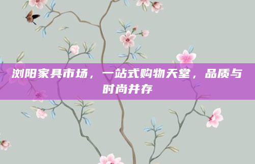 浏阳家具市场，一站式购物天堂，品质与时尚并存