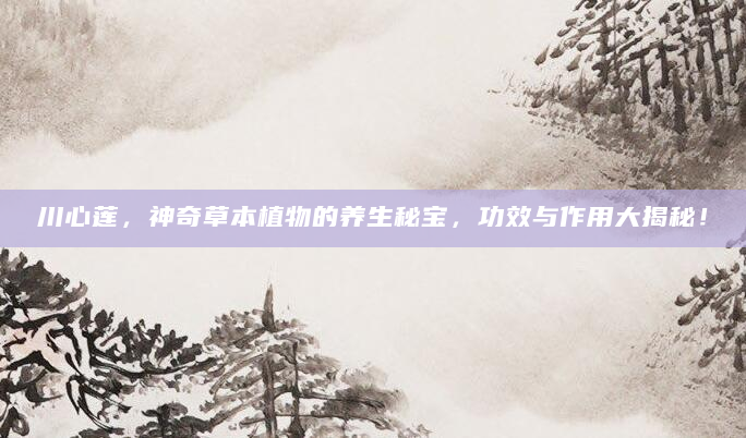 川心莲，神奇草本植物的养生秘宝，功效与作用大揭秘！
