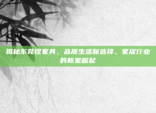 揭秘东莞铿家具，品质生活新选择，家居行业的新星崛起