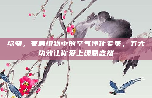 绿萝，家居植物中的空气净化专家，五大功效让你爱上绿意盎然