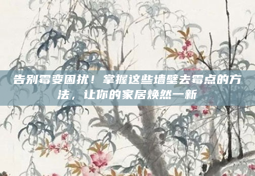 告别霉变困扰！掌握这些墙壁去霉点的方法，让你的家居焕然一新
