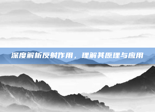深度解析反射作用，理解其原理与应用
