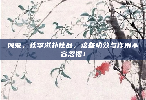 风栗，秋季滋补佳品，这些功效与作用不容忽视！