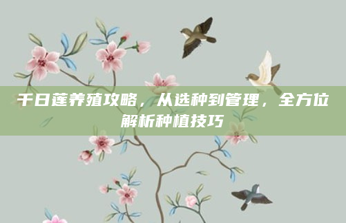 千日莲养殖攻略，从选种到管理，全方位解析种植技巧