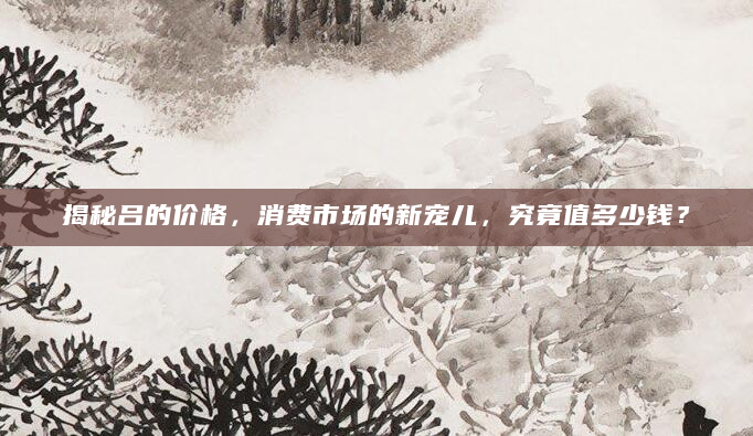 揭秘吕的价格，消费市场的新宠儿，究竟值多少钱？