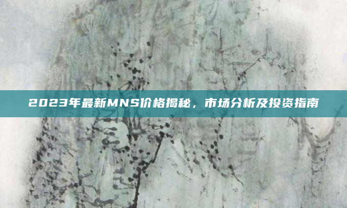 2023年最新MNS价格揭秘，市场分析及投资指南