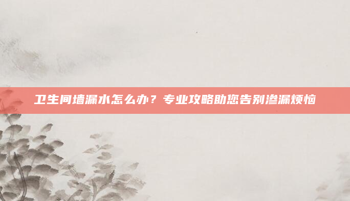 卫生间墙漏水怎么办？专业攻略助您告别渗漏烦恼