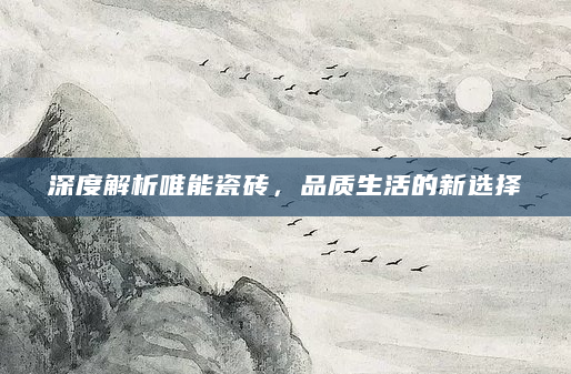 深度解析唯能瓷砖，品质生活的新选择