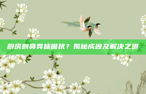 厨房刺鼻异味困扰？揭秘成因及解决之道